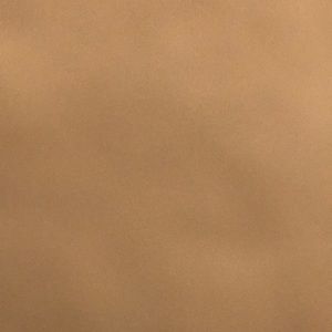 Meet your Posher, Tony